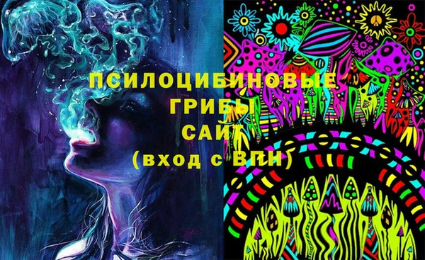 МДПВ Арсеньев