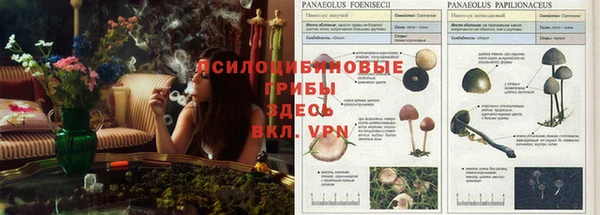 МДПВ Арсеньев