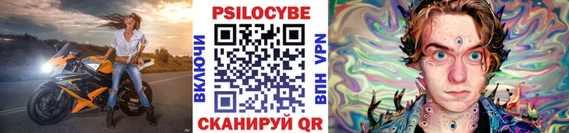 omg   как найти закладки  Ноябрьск  Псилоцибиновые грибы MAGIC MUSHROOMS 